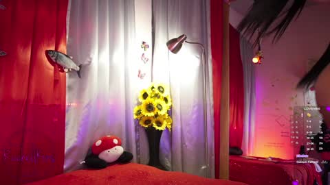 rachellk online show from 12, 1, 2025