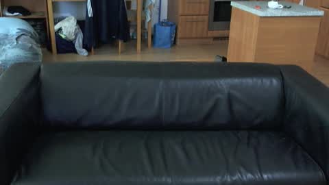 rafaelosteel online show from 5, 11, 2025