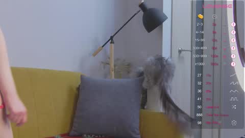 Mei online show from 26, 9, 2025