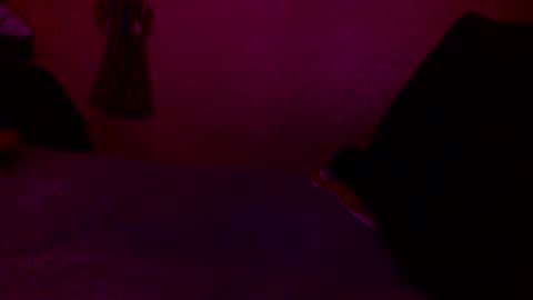 randobad12 online show from 18, 1, 2025