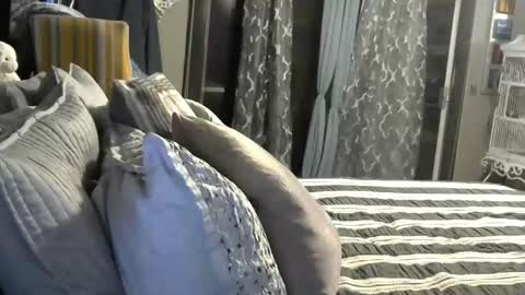 Randy8inbater online show from 9, 1, 2025