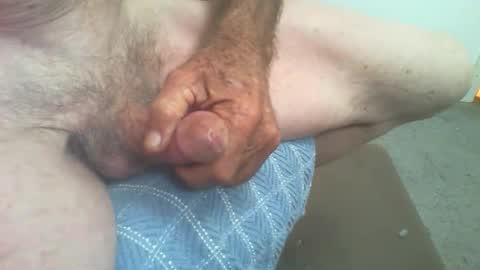 rattcatt online show from 12, 2, 2026