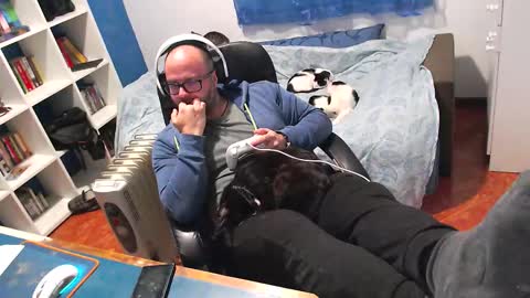 ravingr3d3 online show from 11, 2, 2026