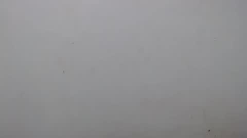 Ray  online show from 1, 2, 2025