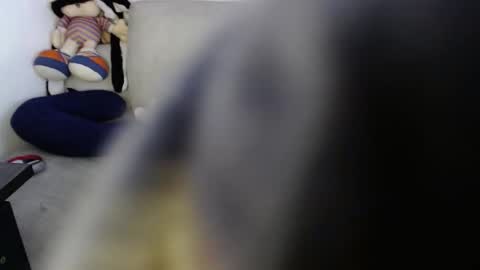 Ray  online show from 10, 11, 2025