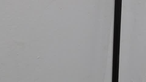 Ray  online show from 22, 3, 2026