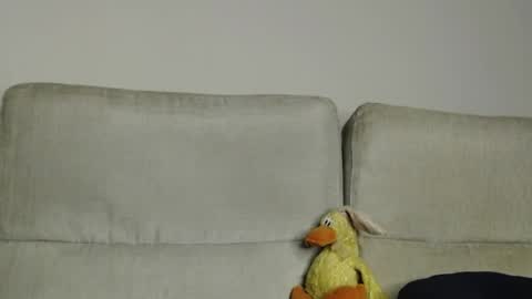 Ray  online show from 5, 4, 2026