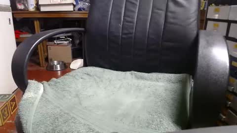 Ray online show from 31, 12, 2024