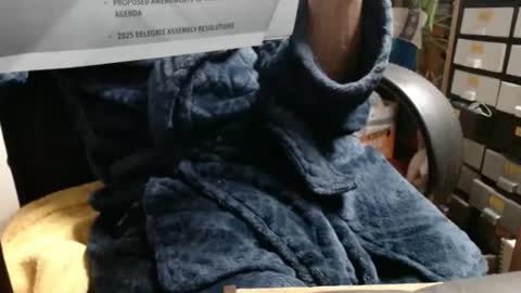 Ray online show from 23, 11, 2025