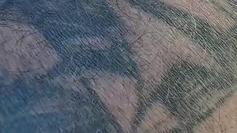 Snapshot of realrubpirate chatting on 9, 9, 2025 realrubpirate online show from 9, 9, 2025