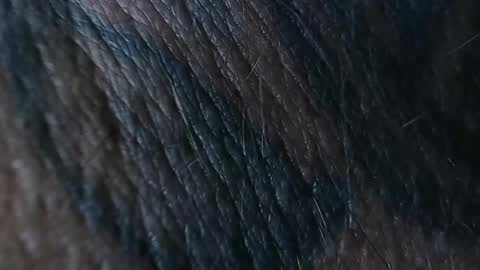 Snapshot of realrubpirate chatting on 26, 9, 2025 realrubpirate online show from 26, 9, 2025