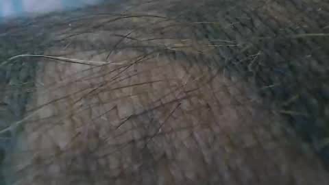 Snapshot of realrubpirate chatting on 19, 10, 2025 realrubpirate online show from 19, 10, 2025