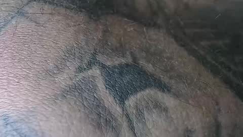 Snapshot of realrubpirate chatting on 2, 11, 2025 realrubpirate online show from 2, 11, 2025