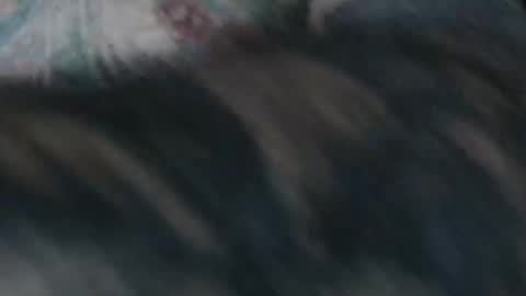 realrubpirate online show from 18, 1, 2026