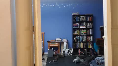 rebelstarlight online show from 12, 1, 2026