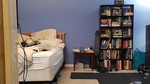 rebelstarlight online show from 31, 3, 2026