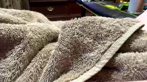 Red online show from 17, 3, 2026