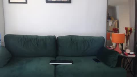 Snapshot of redfloweer chatting on 29, 1, 2025 redfloweer online show from 29, 1, 2025