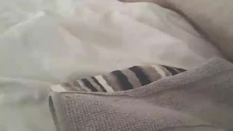 Snapshot of redwhiteblue_24 chatting on 31, 7, 2026 redwhiteblue_24 online show from 31, 7, 2026
