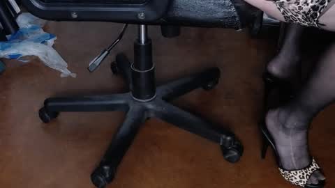 Snapshot of regnerfsky chatting on 26, 1, 2025 RegNerfsky online show from 26, 1, 2025