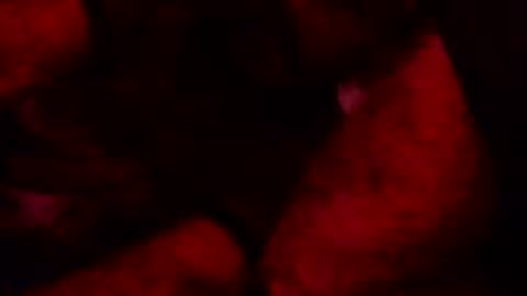 renuetto online show from 13, 10, 2025