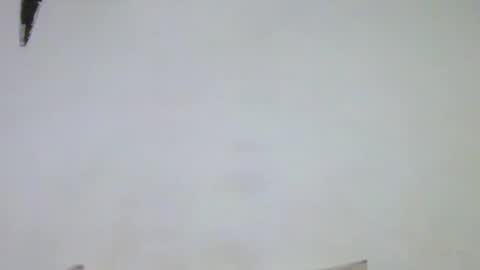 Walter online show from 10, 4, 2026