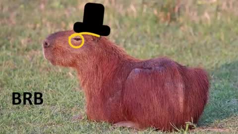 Chris online show from 16, 2, 2026