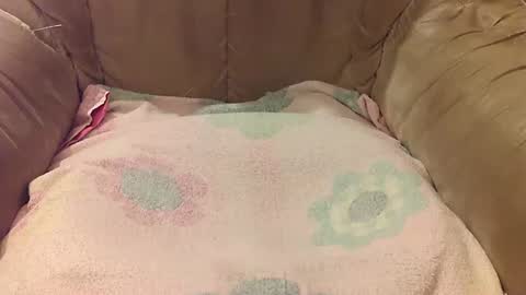 Snapshot of rexxarr chatting on 17, 9, 2025 Mark online show from 17, 9, 2025