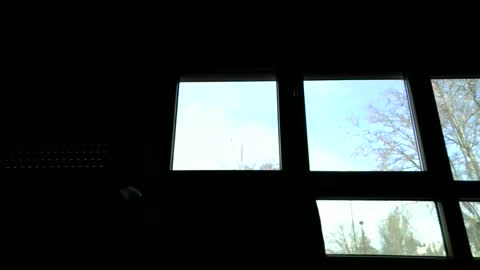 ricardohawtin online show from 22, 2, 2026