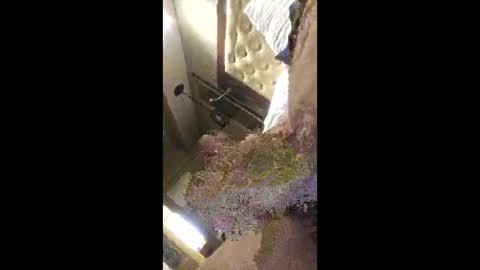 rich7665 online show from 26, 4, 2026