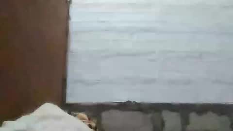 Snapshot of richebelle chatting on 10, 5, 2026 richebelle online show from 10, 5, 2026