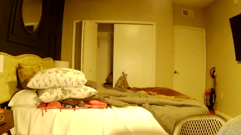 Snapshot of richierich813 chatting on 3, 10, 2025 richierich813 online show from 3, 10, 2025