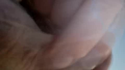 ridik2222333375562 online show from 13, 4, 2026