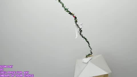 My name is Riley Like my broadcast pls 3 online show from 24, 5, 2026