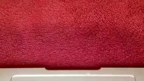 rimalova online show from 25, 10, 2025