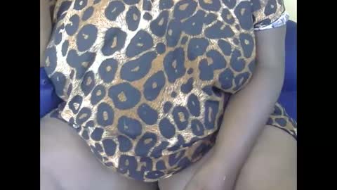 cookie online show from 29, 12, 2024