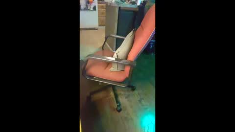 Snapshot of ripchoo chatting on 9, 1, 2026 ripchoo online show from 9, 1, 2026