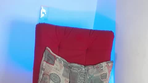 Stiven - online show from 1, 2, 2025