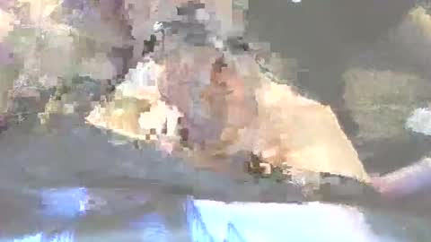 robertharley online show from 2, 12, 2025