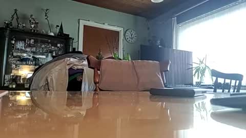 robke1966 online show from 22, 1, 2025