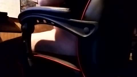 Robo Nuts online show from 20, 11, 2025