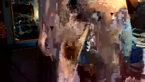 rockdrigo31 online show from 11, 1, 2026