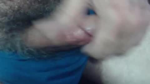 rokk_dude online show from 16, 5, 2026