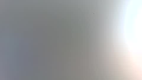 Trinked online show from 9, 1, 2026