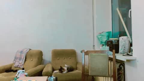 rosa843850 online show from 28, 2, 2025