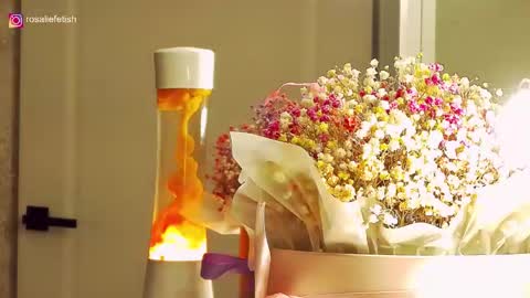 Rosalie online show from 20, 12, 2025