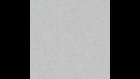 rose_hitakayama online show from 21, 11, 2025