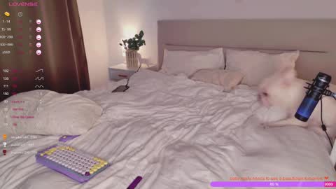 Rose    online show from 28, 2, 2025