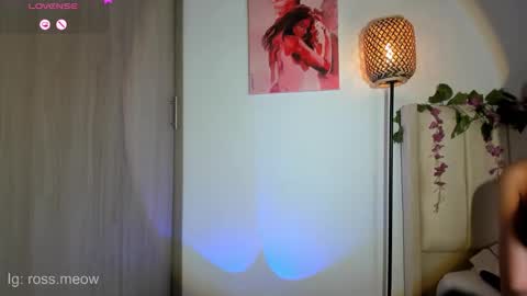 ross_meow online show from 20, 3, 2026