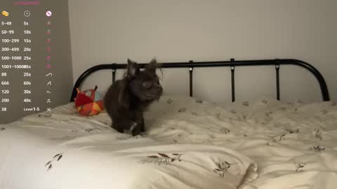  - my telegram channel online show from 23, 10, 2025